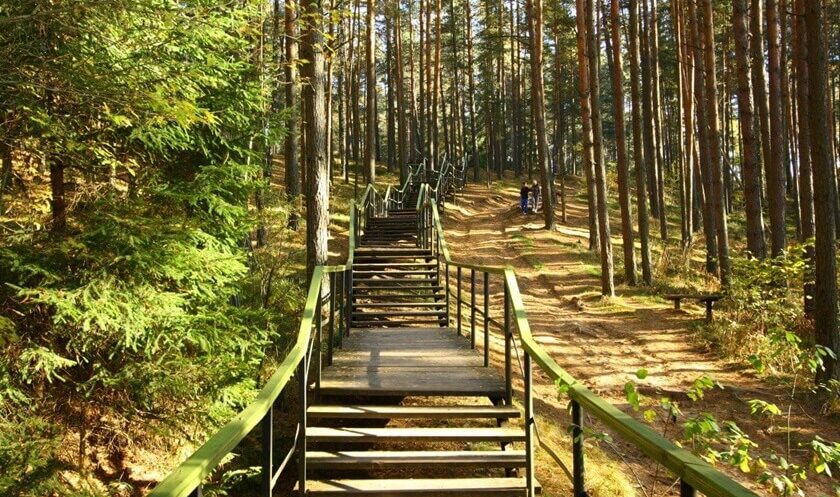 Территория санатория